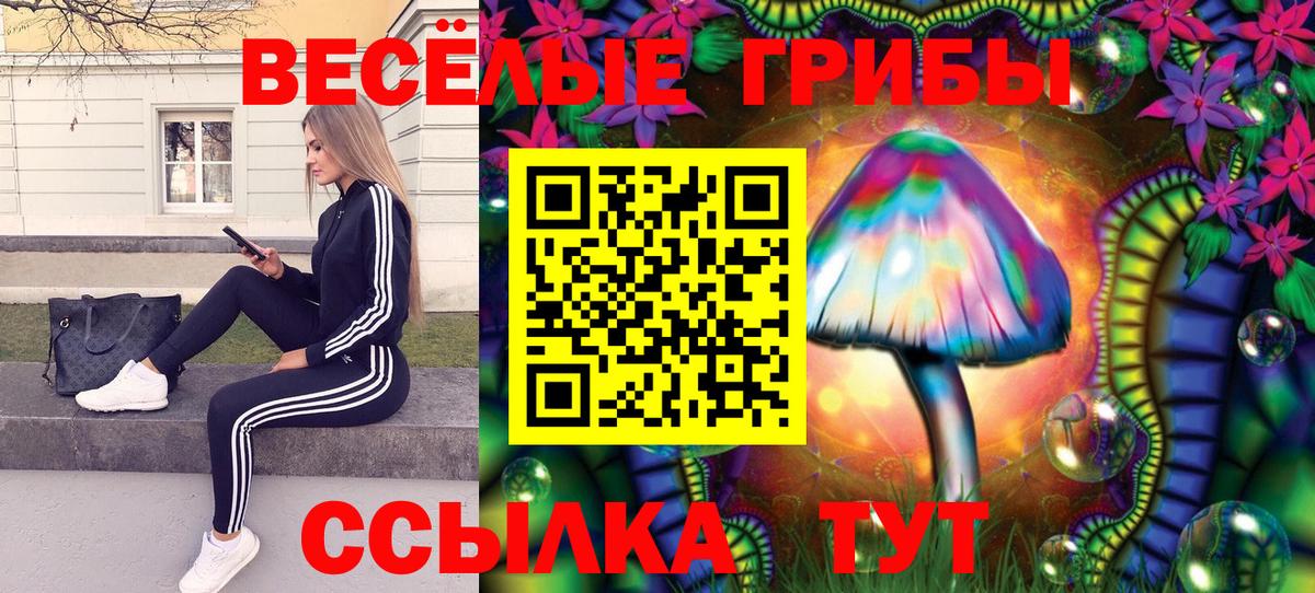 Псилоцибиновые грибы мухоморы Гусиноозёрск