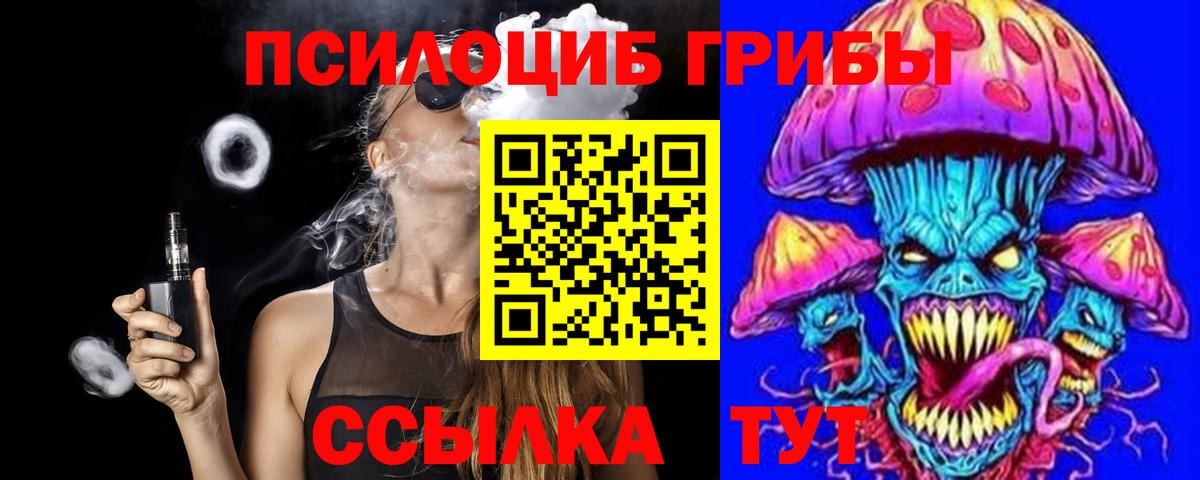 Псилоцибиновые грибы Psilocybe  Вход с VPN  Гусиноозёрск 