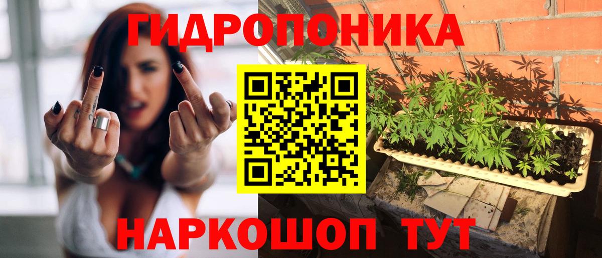 Марихуана SATIVA & INDICA  Бошки Шишки SATIVA & INDICA  Бошки марихуана конопля  Гусиноозёрск  Конопля планчик  Вход с VPN 